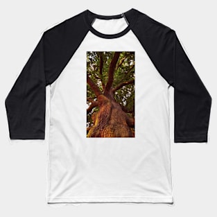 Tree Study Baseball T-Shirt